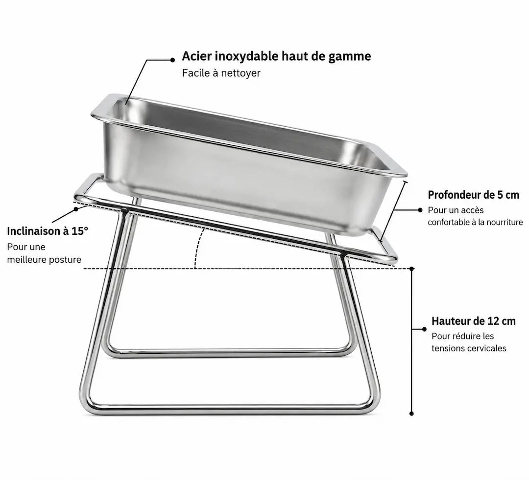 Gamelle orthopédique ErgoWoof™ — Grand Format