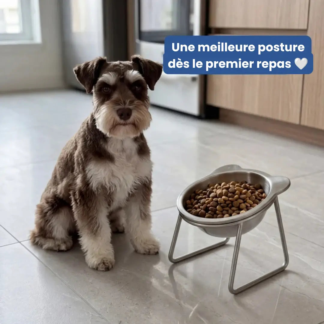 Gamelle orthopédique ErgoWoof™